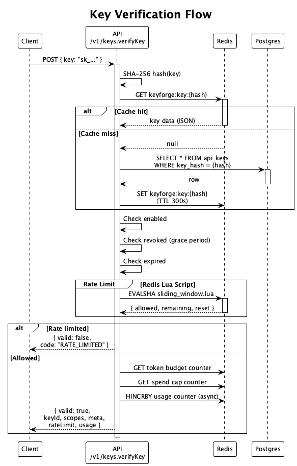 Verify Flow